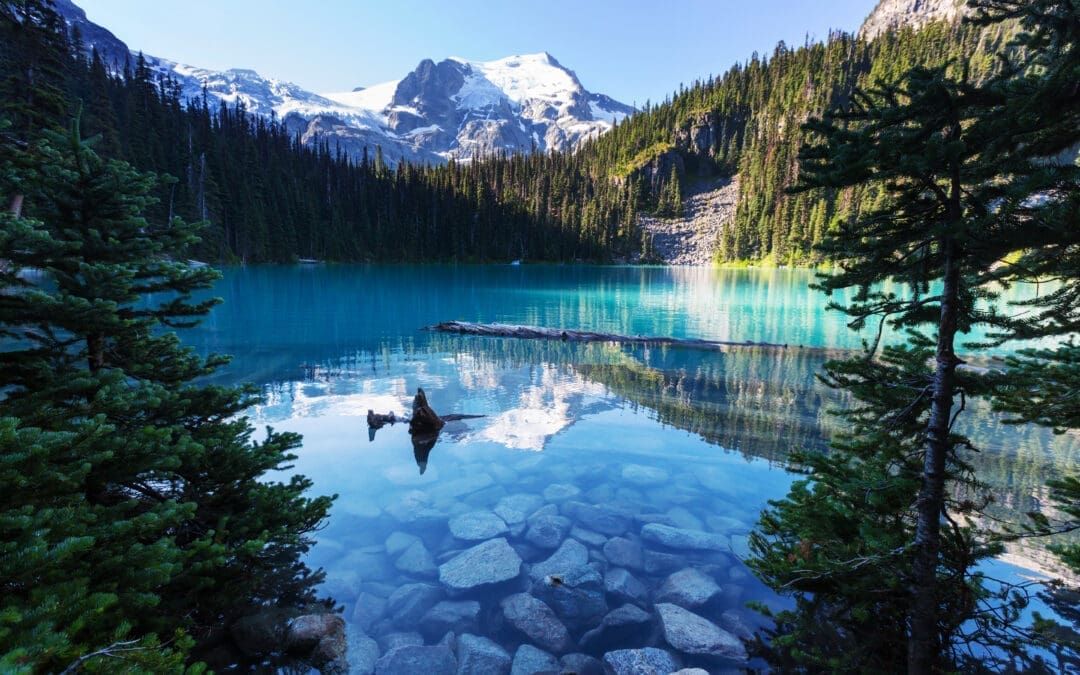 17h Annual Induction Banquet & Reunton Feb. 25th, 2025 IN Surrey, BC